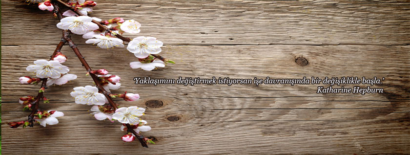 Header Background